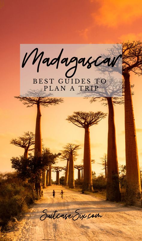 Planning a trip to Madagascar? Find everything you need to get started here: itinerary ideas, ecolodge reviews, costs, food, photo guides and more. via @SuitcaseSix Madagascar Itinerary, Madagascar Resort, Madagascar Vacation, Madagascar Travel Guide, Madagascar Party, Madagascar Palm, Madagascar Culture, Madagascar Dragon Tree, Africa Bucket List