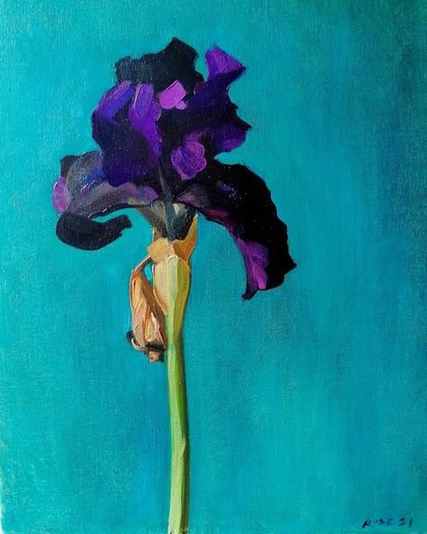 Blue Iris, Iris Paintings, Purple Flowers Painting, Iris Painting Acrylic Easy, Easy Iris Painting, Irises Painting, Iris Flowers Painting, Iris Painting Acrylic, Iris Painting Acrylic Abstract