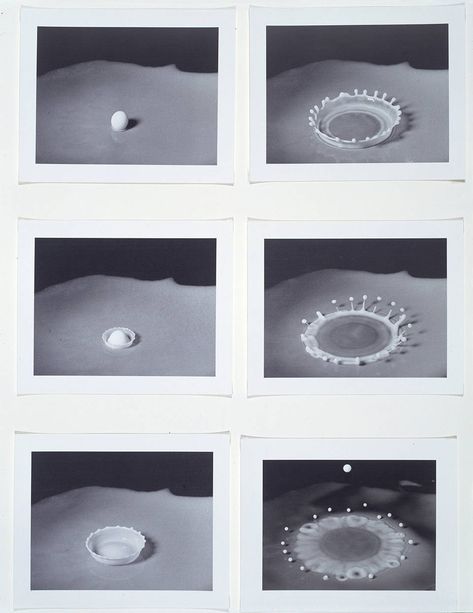 V&A · Photography Harold Edgerton, Sequence Photography, Classic Photographers, Narrative Photography, Photo Sequence, Graphics Layout, Experimental Photography, Background Drawing, History Of Photography