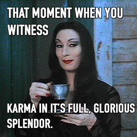 That moment when you witness karma in it's full, glorious splendor. Addams Family Quotes, Night Pictures, Bohol, Addams Family, Family Quotes, True Stories, I Laughed, Me Quotes, Funny Quotes