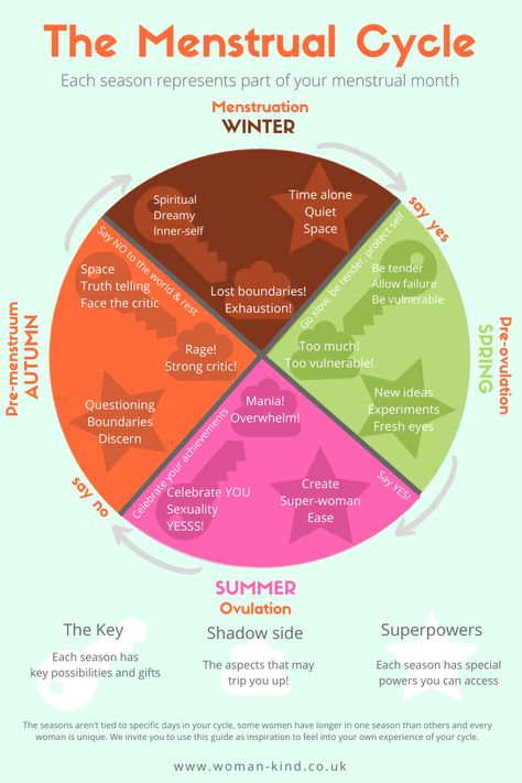 Cycle Seasons, The Menstrual Cycle, دورة شهرية, Womb Healing, Healthy Hormones, Menstrual Health, Menstrual Pain, Feminine Health, Hormone Health