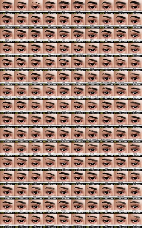 EYEBROW Ultimate Collection | Pralinesims on Patreon Praline Eyebrows Sims 4, Praline Sims Eyebrows, Sims 4 Cc Eyecolor Maxis Match, Sims Cc Genetics, Praline Sims 4 Cc Ultimate Collection, Sims 4 Alpha Cc Lashes, Sims 4 Makeup Collection, Sims4 Cc Makeup Eyebrows, Sims 4 Cc Makeup Folder