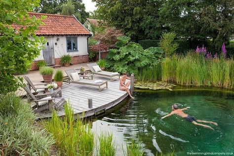 Decking Over Pond, Mediterranean Landscape Design, Swimming Pool Pond, Swimming Ponds, Natural Swimming Ponds, Pool Landscape Design, Swimming Pond, Natural Pond, Pond Landscaping