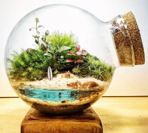 Bonsai Terrarium, Terrarium Scene, Water Terrarium, Jars Ideas, Cactus Terrarium, Terrarium Jar, Miniature Terrarium, Beautiful Terrariums, Mini Terrarium