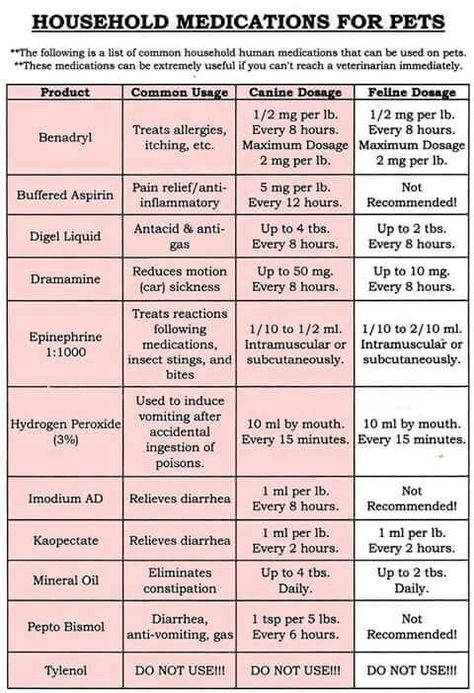 Doggy med doses and uses Do NOT use TYLENOL Medicine Safe For Dogs, Meds For Dogs, Itchy Dog, Pet Meds, Dog Medicine, Dog Remedies, Medication For Dogs, Vet Assistant, Cat Scratchers