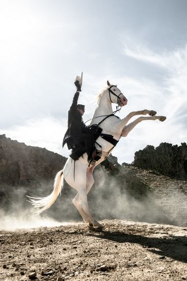 The Lone Ranger Horse Movies, They See Me Rollin, Armie Hammer, The Lone Ranger, Lone Ranger, Walt Disney Pictures, Masked Man, Western Movies, White Horse