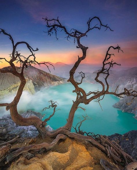 Mt. Ijen, East Java Kawah Ijen, East Java, Adventure Photography, To Infinity And Beyond, Natural Phenomena, Sunset Photos, Outdoor Landscaping, Nature Landscape, Best Vacations