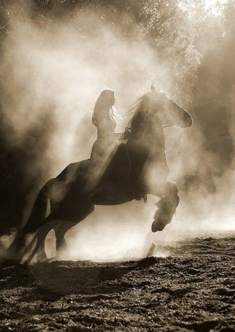 friesian... *faints* Riding A Horse, Horse Quotes, All The Pretty Horses, Horse Crazy, Pretty Horses, Horse Photography, Horse Pictures, Horse Love, Limassol