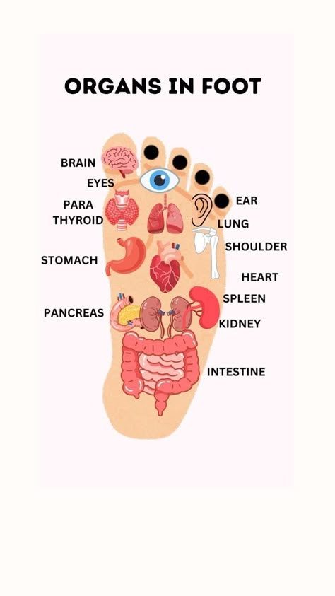 Dr. Aadil Khan | IF YOU URINATE FREQUENTLY AT NIGHT & HAVE LEAKAGE ISSUE WHILE COUGHING THEN MASSAGE THIS POINT. #Acupuncture #HolisticHealing… | Instagram Accupressure Foot Chart, Acupuncture Aesthetic, Pressure Points Chart, Ear Acupressure Points, Acupuncture Mat, Meridian Acupuncture, Acupuncture Points Chart, Healing Reflexology, Message Therapy