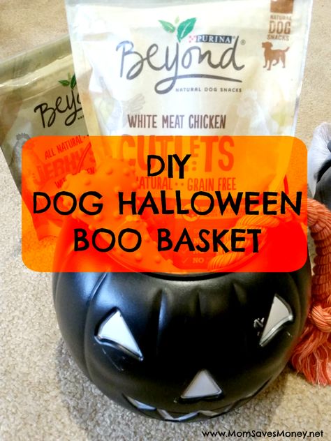 DIY Halloween Dog Boo Basket! – Mom Saves Money Dog Halloween Basket, Dog Boo Basket, Pet Gift Basket, Apartment Halloween, Boo Gift, Bus Ideas, Halloween Gift Baskets, Halloween Party Treats, Puppy Time