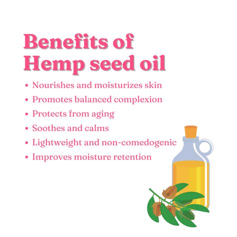 A natural, lightweight option for your skin. Hemp seed oil nourishes and moisturizes the skin while promoting a balanced complexion and protecting against aging. It also keeps skin smooth, glowing, and non-oily! The benefits of hemp seed oil are undeniable, Mentioned in this post. #omez #hempseedoil #hemp #oil #skin #acne #healthy #benefits Hemp Seed Oil Uses, Hemp Seed Oil Benefits Skin, Hemp Seed Benefits, Hemp Oil Benefits Skin, What Is Hemp Seeds, Benefits Of Hemp Seed Oil, Hemp Oil Benefits, Health Benefits Of Hemp Seeds, Oil For Skin