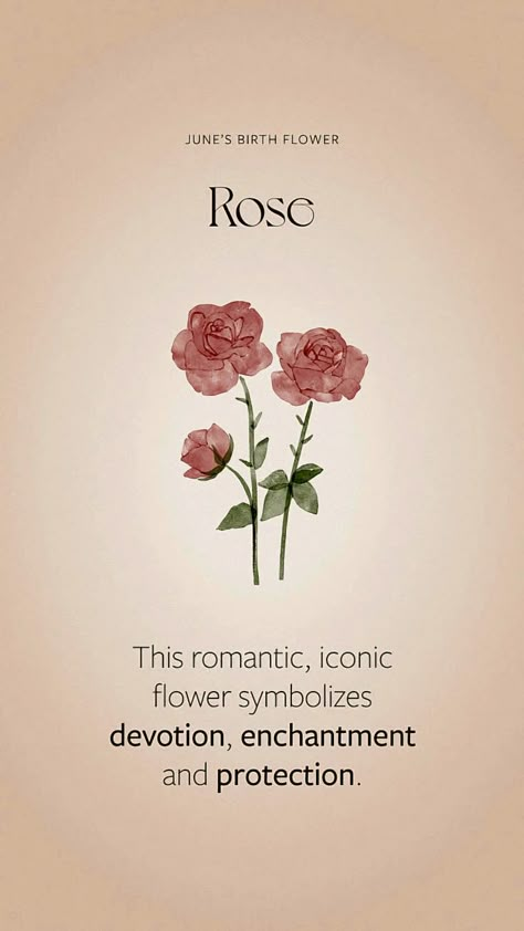 Flowers That Represent Love, Language Of Flowers Aesthetic, Rose Meanings Tattoo, Flower Language Bouquet, Rose Name Meaning, Witch Bouquet, Pink Rose Meaning, Rose Flower Meaning, Flower Symbolism Meaning