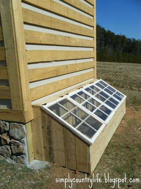 small greenhouse made from old antique windows, diy, gardening, repurposing upcycling, woodworking projects, greenhouse from old windows Serre Diy, Outdoor Greenhouse, Garden Frogs, Garden Basket, Antique Windows, Small Greenhouse, Greenhouse Plans, Mini Greenhouse, Diy Greenhouse