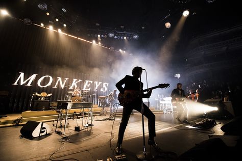 Arctic Monkeys Aesthetic, Arctic Monkeys Concert, Monkeys Aesthetic, Arctic Monkeys Wallpaper, Aesthetic Concert, Monkey Wallpaper, Monkey 3, The Last Shadow Puppets, Last Shadow