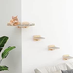 Cat Feeding Shelf, Bed Wall Mounted, Floating Cat Shelves, Cat Climbing Shelves, Cat Wall Shelves, Cat Wall Furniture, Floating Stairs, Wall Furniture, Cat Perch