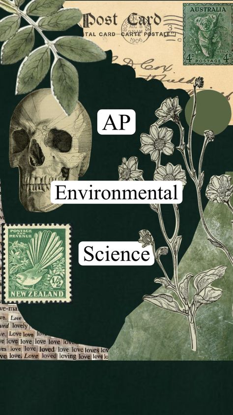 notebook cover for AP Environmental Science Environmental Science Poster, Environment Drawing Ideas, Science Notebook Cover, Basic English Grammar Book, Ap Environmental Science, Project Cover Page, Biology Projects, Scrapbook Cover, Science Notebook