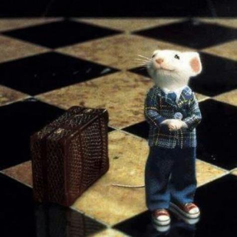 Stuart Little... might put this on my desk, surely you can never have a bad day at work if you look at this?! Stewart Little, Best Family Movies, Little Mouse, Family Movies, Vintage Film, Having A Bad Day, 90s Kids, Animal Planet, Lion King