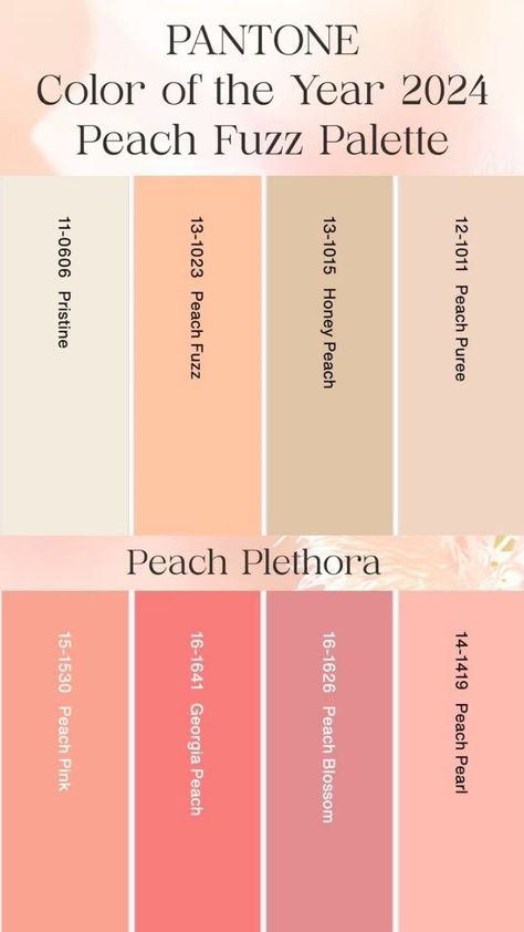 Peach Fuzz Color Outfit, Color Palette 8 Colors, Peach Color Palettes, Pantone Trends, Color Of The Year 2024, Colour Crush, Hex Color, Pantone Colour Palettes, Pantone Color Of The Year