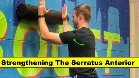 Strengthening The Serratus Anterior – Squat University Back Cable Workout, Ideal Weight Chart, Serratus Anterior, Neck And Shoulder Exercises, Shoulder Rehab, Muscle Stretches, Rotator Cuff, Shoulder Muscles, Back Exercises