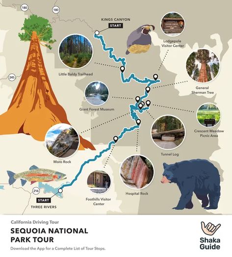 Sequoia National Park Itinerary - Shaka Guide National Park Itinerary, California Travel Road Trips, Sequoia National Park, California Travel, Hidden Gems, Road Trips, National Park, Road Trip, National Parks