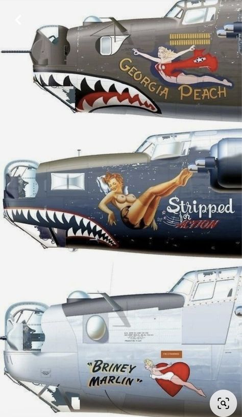 Nose Art Aircraft, Diy Plane, Warbirds Pinups, Arte Pin Up, Military Pins, Aircraft Nose Art, Wwii Airplane, Airplane Models, Aircraft Painting