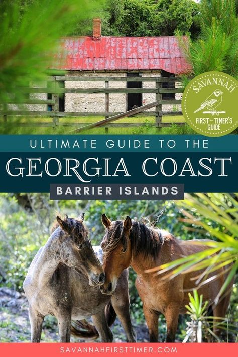 Pinnable graphic with a photo of an abandoned cabin with a faded red metal roof and two wild horses. Text overlay reads Ultimate Guide to the Georgia Coast Barrier Islands At Simons Island, Sapelo Island Georgia, Ossabaw Island, Sapelo Island, Cumberland Island Georgia, Georgia Islands, Brunswick Georgia, Explore Georgia, Georgia Beaches