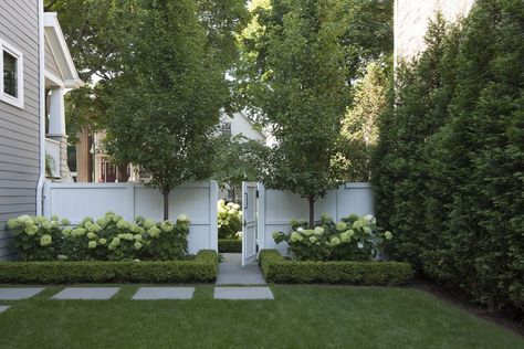 Front Garden Landscaping, Front Landscaping, Fence Landscaping, White Garden, Sitges, Home Landscaping, Garden Landscape Design, White Gardens, House Landscape