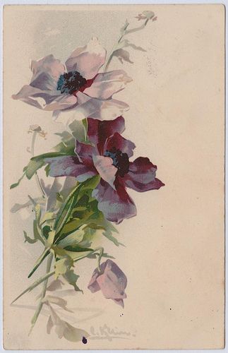 Catharina Klein (1861-1929) | Flickr - Photo Sharing! Catherine Klein, Morning Glory Flowers, Tableau Art, Trendy Flowers, Watercolor Cat, China Painting, Watercolour Art, Delphinium, Vintage Postcard