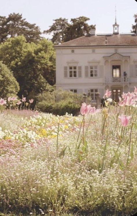 Regency Era Aesthetic, Regency Aesthetic, Era Victoria, Lizzie Bennet, Emma Jane Austen, Jane Austen Novels, Emma Jane, Jane Austin, Monday Mood