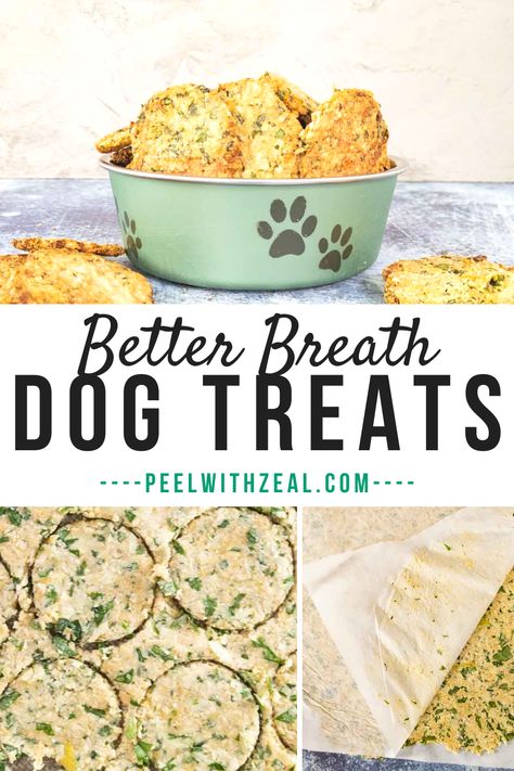 These homemade dog breath mint treats are easy to make and filled with healthy wholesome ingredients. Our pup loves them and I can feel good about pampering him.   A peanut-free dog treat recipe, and they are also gluten and dairy-free which makes them a win all-around.  Make these copycat breath buster treats today.  DIY dog treats are easy to make at home so you kiss dog bad breath goodbye. #peelwithzeal #diydogtreats Dog Treat Gift Ideas, Mint Treats For Dogs, High Protein Dog Treats, Dog Treat Recipes For Silicone Molds, Diy Dog Treats To Sell, Mint Dog Treats, Dog Breath Treats, Mint Treats, Dog Bad Breath