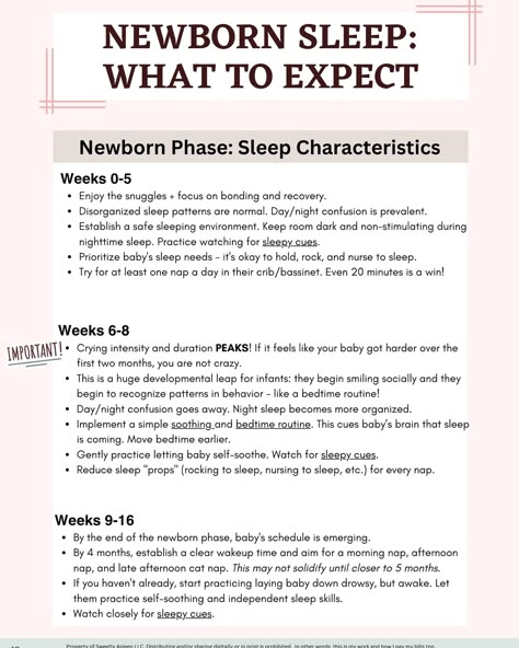 Did you know I have a newborn and infant sleep guide on my website for $30? It’s a digital download so you never lose access. This is just a tiny snapshot of the information included! There is so much more (checkout the table of contents). #Sleepconsultant #sleeptraining #momsdeservesleep #pediatricsleepconsultant #infantsleep #toddlersleep #newbornsleep Realistic Newborn Schedule, Sleep Routine For Newborn, Newborn Safe Sleep, Eat Play Sleep Routine Newborn, Newborn Nighttime Routine, Newborn Sleep Schedule 1 Month, Newborn Rules For Family, Newborn Guide, Newborn Basics