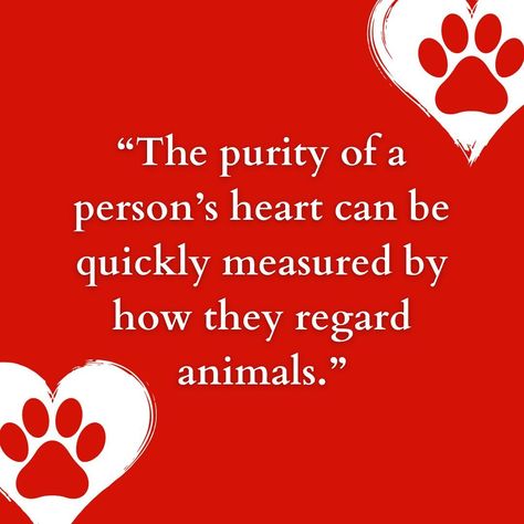 I love me some cute pet quotes!❤️ Which quote resonates with you the most? Share your thoughts and tag a fellow pet lover!🐶🐱💕 #petquotes #animal #love #unconditionallove #cute #quotes #doglovers #catlovers #pawfectcreationz Animal Related Quotes, Pet Lovers Quotes, Animal Love Quotes, Animal Lover Quotes, Pet Quotes, Cute Animal Quotes, Animal Love, I Love Me, Caption Quotes