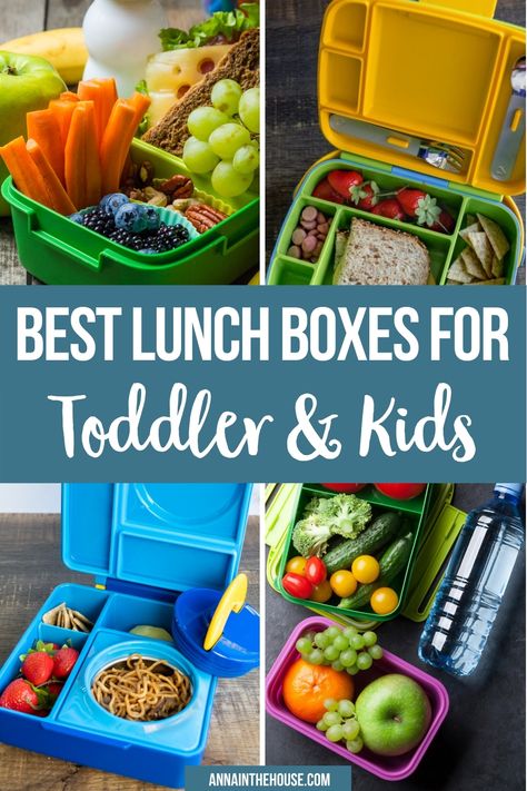 lunch boxes Lunch Ideas Toddler, Kids Lunch Containers, Preschool Lunch Box, Easy Toddler Lunches, Lunchbox Kids, Kids Lunch Ideas, Toddler Lunch Box, Kids Lunch Boxes, Travel Lunches