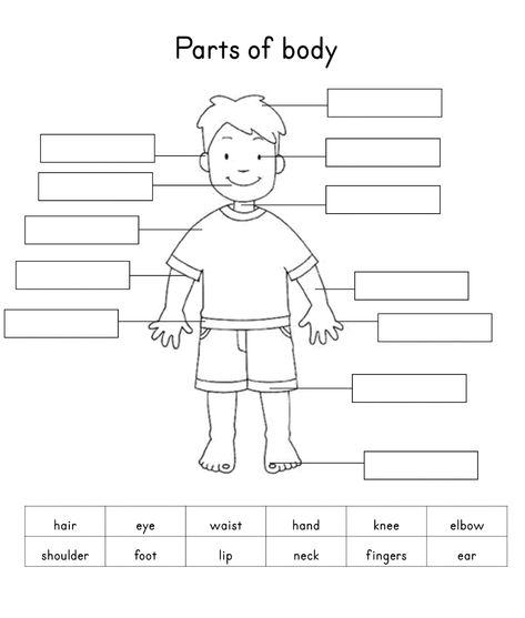 Human Body Parts | Body Parts worksheet | List the Body Parts Body Parts Worksheet, Body Worksheet, English Kindergarten, Body Parts For Kids, Ingles Kids, Human Body Worksheets, Parts Of Body, Worksheets For Class 1, Body Parts Preschool