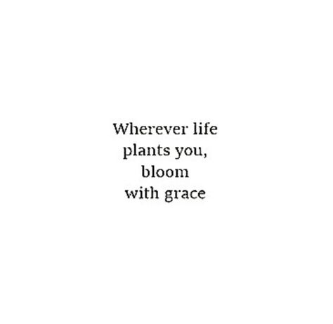 Grow Where Youre Planted Quote, Plant Growing Quotes Life, Bloom Where God Plants You, Bloom Where You Are Planted Tattoo, Plant Quotes Life Inspiration Thoughts, Grow Where You Are Planted, Bloom Where You Are Planted Quote, Plants Quotes Life Inspiration, Quotes About Flowers Blooming