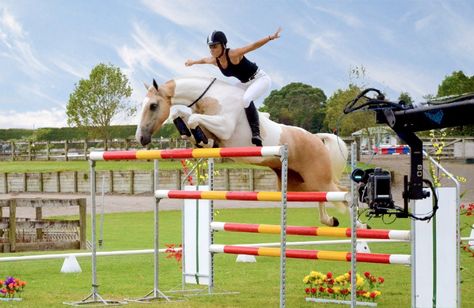 maxresdefault Alycia Burton, Show Jumping Horses, Horse Quotes, Horse Crazy, Horse Equestrian, Horse Jumping, Cute Horses, Horse Life, Horse Training