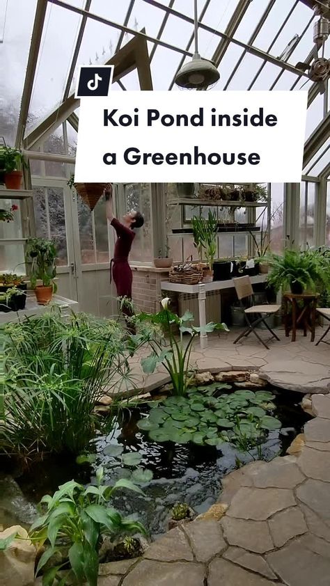 Koi Pond In Greenhouse, Pond Inside Greenhouse, Greenhouse Pond, Earth Ship, Earthship, Koi Pond, Green House, Outdoor Design, Koi