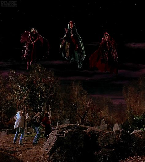 “It’s just a bunch of Hocus Pocus!” Hermanas Sanderson, Hocus Pocus 1993, Hocus Pocus Movie, Hocus Pocus 2, Hocus Pocus Witches, Sanderson Sisters, Season Of The Witch, Halloween Movies, Halloween Pictures