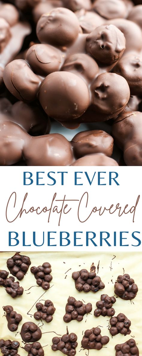 chocolate covered blueberries Healthy At Home Desserts, Blueberry Yogurt Chocolate Bites, Frozen Blueberry Chocolate, Healthy Frozen Blueberry Desserts, Healthy Snacks With Blueberries, Chocolate Covered Blueberries Homemade, Dark Chocolate Covered Blueberries, Healthy Chocolate Snacks Easy, Blueberry Snack Ideas