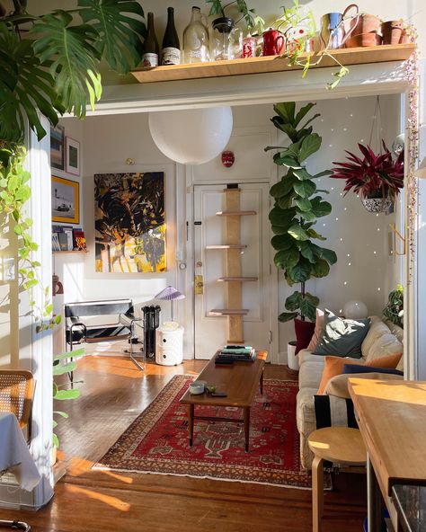 Earthy Living Room, Lots Of Plants, Deco Studio, Apartment Vibes, Casa Vintage, Apartment Decor Inspiration, Baltimore Maryland, Future Apartment, Dream Apartment