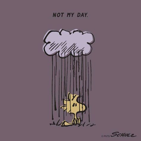 Peanuts Quotes, Snoopy Funny, Snoopy Wallpaper, Snoopy Images, Peanuts Cartoon, Snoop Dog, Snoopy Quotes, Snoopy Pictures, Charlie Brown Peanuts