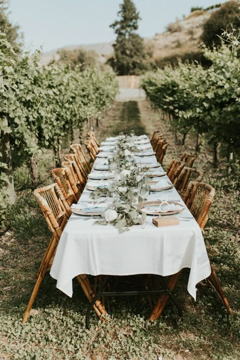 Vineyard Wedding Centerpieces, Vineyard Wedding Inspiration, Lake Chelan, African Bride, Greenery Garland, Long Table, Marriage Ceremony, Winery Weddings, Vineyard Wedding