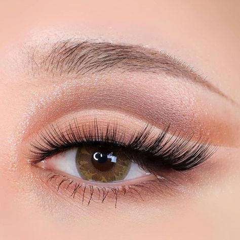 First Date Makeup Ideas, Date Makeup Ideas, Doe Lashes, First Date Makeup, Perfect Cat Eye, Cat Eye Lash, Date Makeup, Types Of Eyes, Wispy Lashes