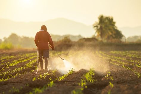 Agriculture Pictures, Bordeaux Vineyards, Agriculture Photography, Class Action Lawsuits, Soil Ph, Sustainable Farming, Air Pollution, In Law Suite, Pesticides