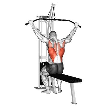 Cable Rear Lat Pulldown is one of the most popular exercises used to strengthen the back muscles. Pulldown V-Taper is among the movements that allow you to reach the image. Wings Workout, Gym Back Workout, Good Back Workouts, Cable Workout, Lat Pulldown, Full Body Workout Routine, Trening Fitness, Popular Workouts, Workout Chart