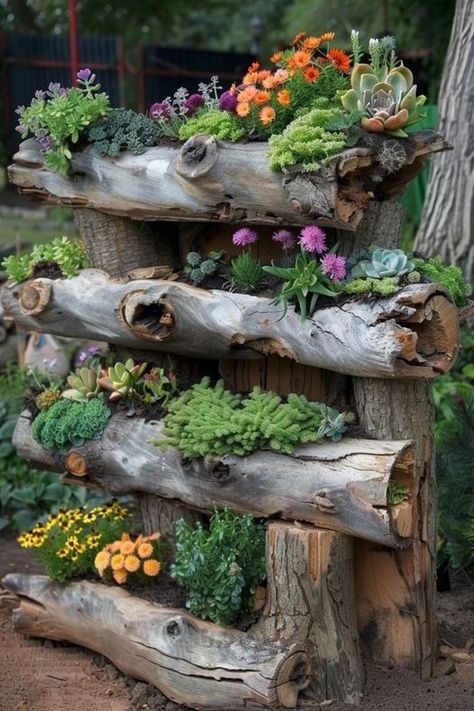 Facebook Driftwood Garden, Garden Planter Ideas, Beautiful Home Gardens, Succulent Garden Design, Small Patio Garden, Succulent Garden Diy, Diy Plant Hanger, Garden Crafts Diy, Rock Garden Landscaping