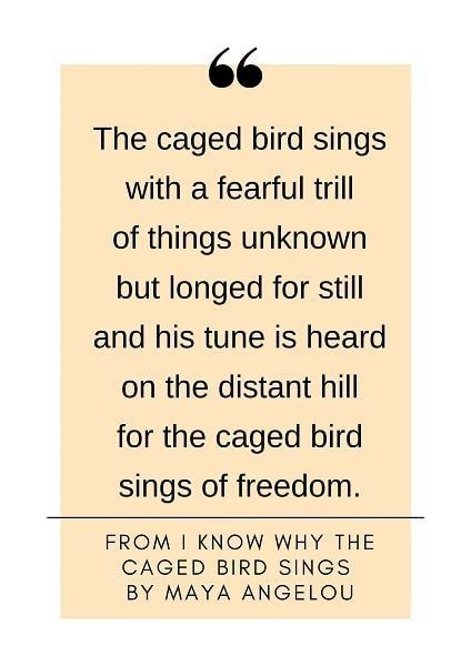 High School Poetry, Maya Angelou Poems, School Poetry, Why The Caged Bird Sings, Most Famous Poems, Caged Bird Sings, The Caged Bird, Singing Quotes, Classic Poems