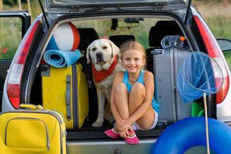 Travel Toiletry Bags for Kids: 13 Must-Have Items to Pack Now (You Can Thank Me Later) #30secondmom Road Trip With Dog, Swimming With Dolphins, Long Car Trips, Road Trip Packing List, Road Trip Packing, Vacation Photography, Road Trip With Kids, Family Road Trips, Road Trip Hacks