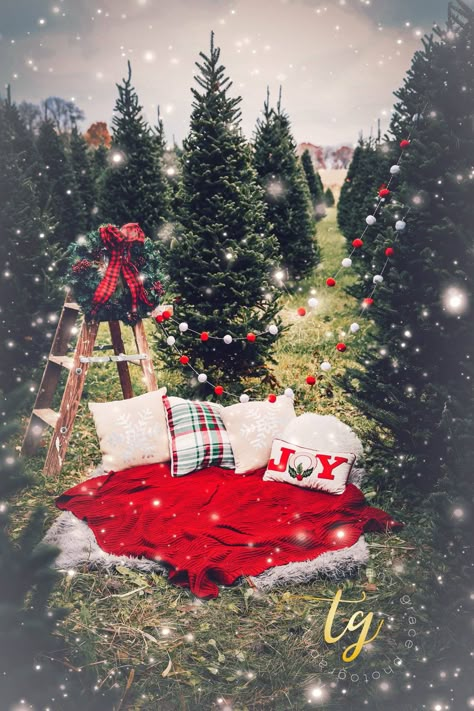 Christmas Tree Farm Pajama Pictures, Simple Outside Christmas Photoshoot, Diy Christmas Picture Setup, Christmas Tree Farm Christmas Pictures, Christmas Photography Set Up Outdoor, Outdoor Santa Photoshoot Setup, Diy Outdoor Christmas Pictures, Christmas Arch Photo Prop, Christmas Photo Shoot Ideas Outdoor