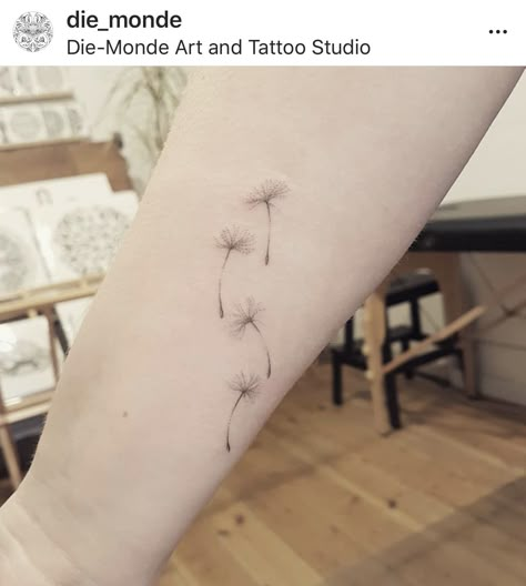 Dandelion Rib Tattoo, Dandelion Fluff Tattoo, Pc Tattoo, Dandelion Tattoos, Fineline Tattoo, Dandelion Tattoo, Gift Ide, Small Pretty Tattoos, Simple Tattoo Designs